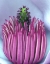 Picture of OREGON, CLOSE-UP OF CENTER OF MAGNOLIA BLOSSOM