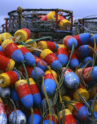 Picture of OREGON, NEWPORT CRAB RINGS AND FLOATS ON DOCK