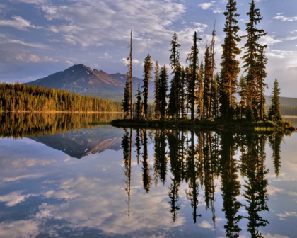 Picture of OREGON DIAMOND PEAK REFLECTING IN SUMMIT LAKE