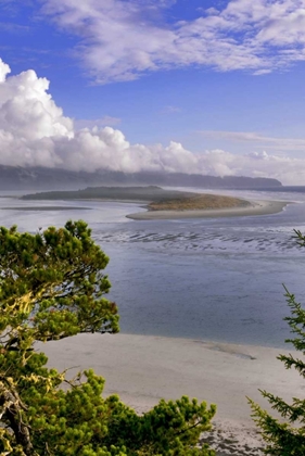 Picture of OREGON NETARTS BAY IN CAPE LOOKOUT STATE PARK