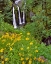 Picture of OREGON, COLUMBIA RIVER GORGE NSA TRIPLE FALLS