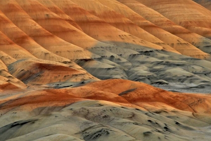 Picture of OREGON, JOHN DAY FOSSIL BEDS NM PAINTED HILLS