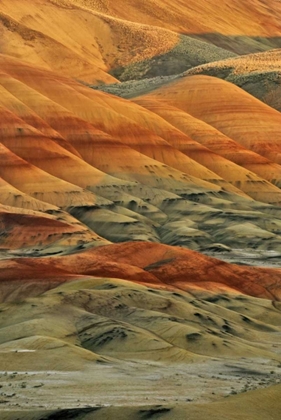 Picture of OREGON, JOHN DAY FOSSIL BEDS NM PAINTED HILLS