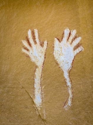 Picture of CO,  CANYON PINTADO DISTRICT, PICTOGRAPH OF HANDS