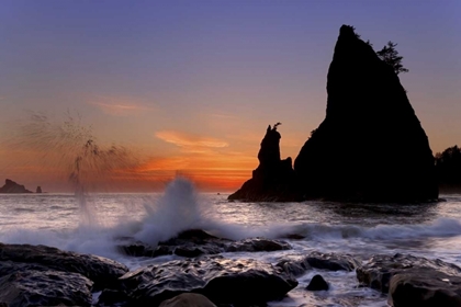 Picture of WA, OLYMPIC NP SEA STACK AT RIALTO BEACH, SUNSET