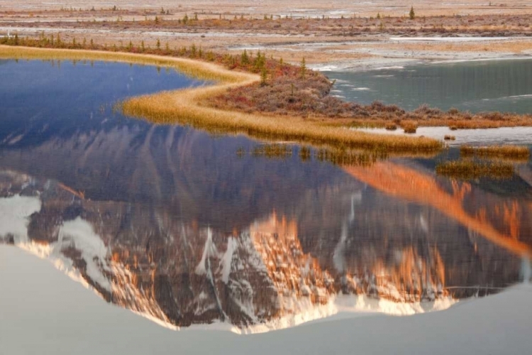 Picture of CANADA, JASPER NP MT KITCHENER IN SUNWAPTA RIVER