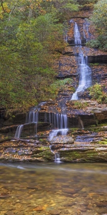 Picture of NORTH CAROLINA, GREAT SMOKY MTS TOM BRANCH FALLS