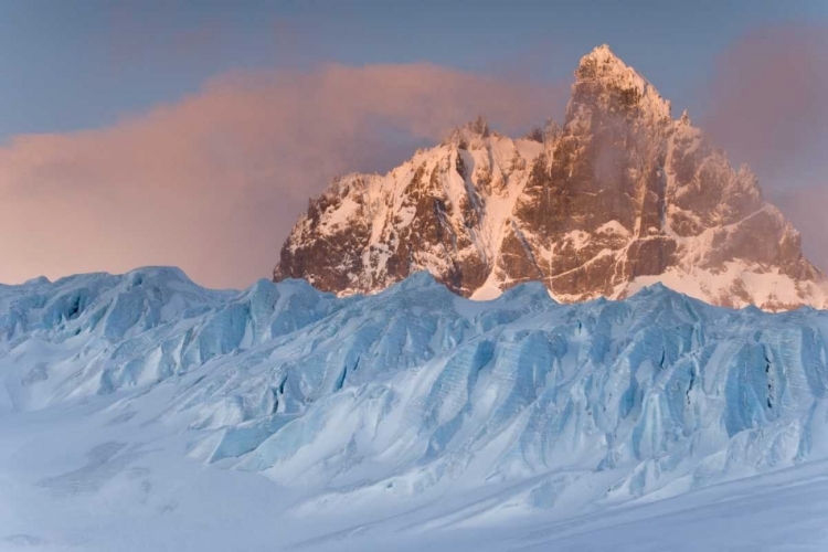 Picture of SOUTH GEORGIA ISL,  GRAAE GLACIER AND MT SABATIER