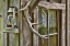 Picture of WA, STEHEKIN ANTLERS AND LANTERN OUTSIDE A CABIN