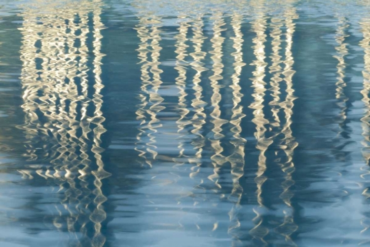 Picture of CA, SAN DIEGO REFLECTION ON CHILDRENS PARK POOL