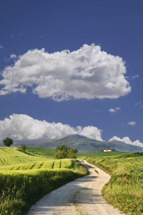 Picture of ITALY, TUSCANY ROAD LEADING TO A VILLA
