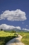 Picture of ITALY, TUSCANY ROAD LEADING TO A VILLA