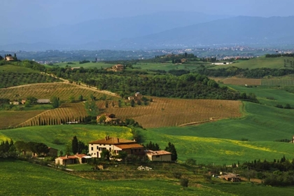 Picture of ITALY, TUSCANY VAL DORCIA COUNTRYSIDE