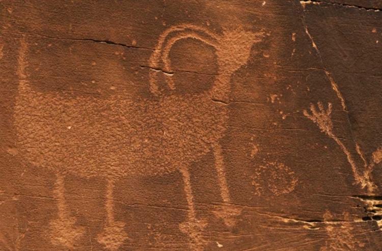 Picture of UTAH PETROGLYPH ROCK ART AT DINOSAUR NM