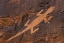 Picture of UTAH PETROGLYPH ROCK ART AT DINOSAUR NM