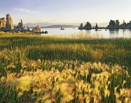 Picture of CA, EASTERN SIERRAS, MONO LAKE LANDSCAPE