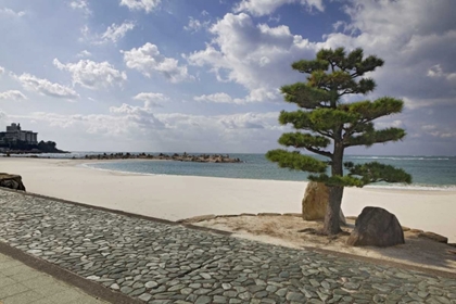 Picture of JAPAN, SHIRANAHMA SCENIC OF WHITE HARBOR