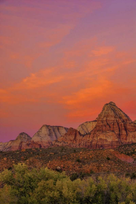 Picture of USA, UTAH, ZION NP MOUNTAIN LANDSCAPE