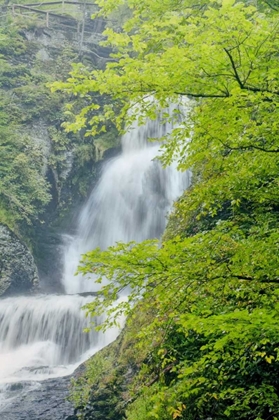 Picture of PA, DINGMANS FERRY, DINGMANS FERRY FALLS