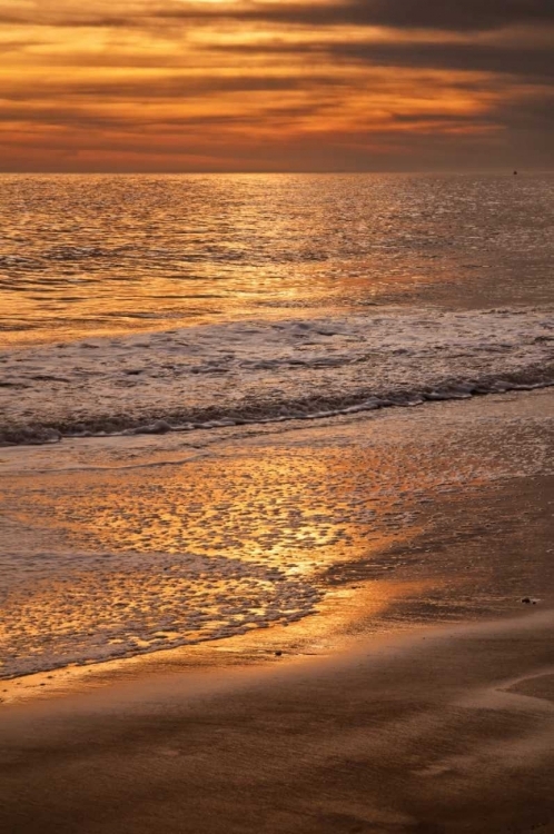 Picture of NEW JERSEY, CAPE MAY SUNSET ON THE BEACH