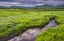 Picture of WV, DAVIS LANDSCAPE OF THE CANAAN VALLEY
