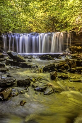 Picture of PA, BENTON, RICKETTS GLEN SP ONEIDA FALLS