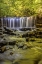 Picture of PA, BENTON, RICKETTS GLEN SP ONEIDA FALLS