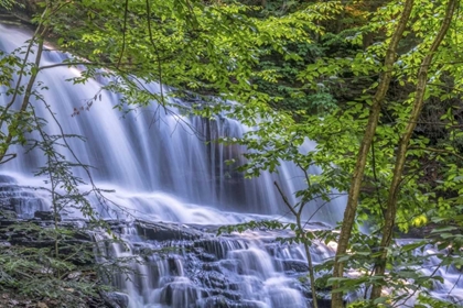 Picture of PA, BENTON, RICKETTS GLEN SP MOHAWK FALLS