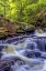 Picture of PA, BENTON, RICKETTS GLEN SP SENECA FALLS