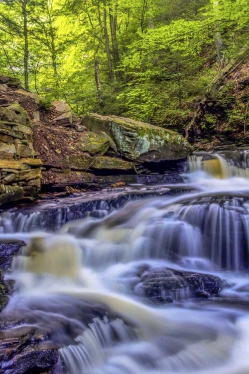 Picture of PA, BENTON, RICKETTS GLEN SP SENECA FALLS