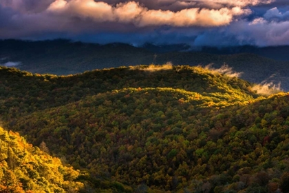 Picture of NC, BREVARD AUTUMN LANDSCAPE IN PISGAH NF