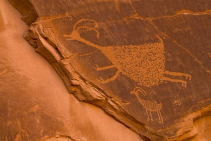 Picture of UT, MONUMENT VALLEY NP PETROGLYPH ETCHING