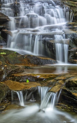 Picture of PENNSYLVANIA WATERFALL IN RICKETTS GLEN SP