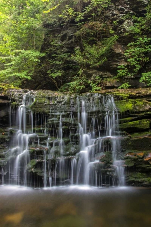 Picture of PENNSYLVANIA WATERFALL IN RICKETTS GLEN SP