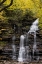 Picture of PENNSYLVANIA WATERFALL IN RICKETTS GLEN SP