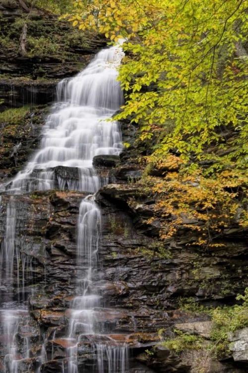 Picture of PENNSYLVANIA WATERFALL IN RICKETTS GLEN SP