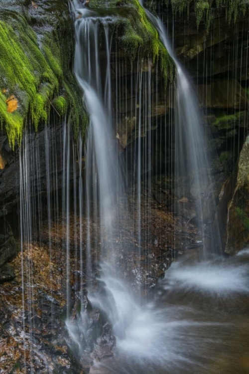 Picture of PENNSYLVANIA WATERFALL IN RICKETTS GLEN SP