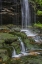 Picture of PENNSYLVANIA WATERFALL IN RICKETTS GLEN SP