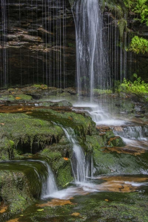 Picture of PENNSYLVANIA WATERFALL IN RICKETTS GLEN SP