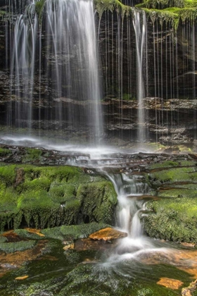 Picture of PENNSYLVANIA WATERFALL IN RICKETTS GLEN SP