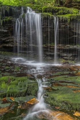 Picture of PENNSYLVANIA WATERFALL IN RICKETTS GLEN SP