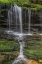 Picture of PENNSYLVANIA WATERFALL IN RICKETTS GLEN SP