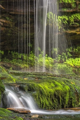 Picture of PENNSYLVANIA WATERFALL IN RICKETTS GLEN SP