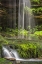 Picture of PENNSYLVANIA WATERFALL IN RICKETTS GLEN SP