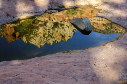 Picture of ARIZONA, SEDONA AUTUMN REFLECTION IN WATER