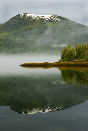 Picture of ALASKA, INSIDE PASSAGE FOGGY FOREST AND MOUNTAIN
