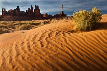 Picture of UTAH, MONUMENT VALLEY SAND DUNES WITH TOTEM POLE
