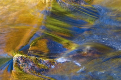 Picture of NH, WHITE MOUNTAIN NF, FALL REFLECTIONS IN STREAM