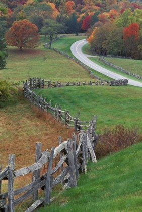 Picture of NC, RAIL FENCE AND COUNTRY ROAD IN FALL LANDSCAPE