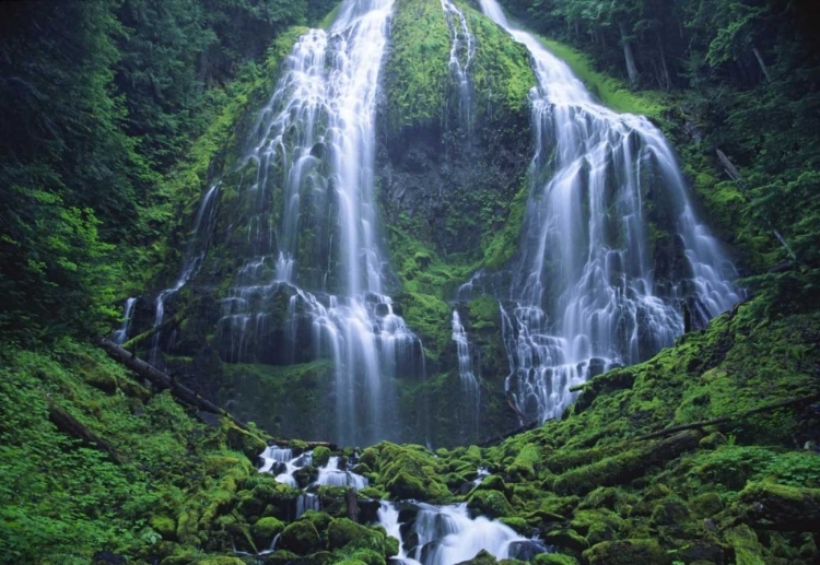 Picture of OREGON, WILLAMETTE NF THE LOWER PROXY FALLS